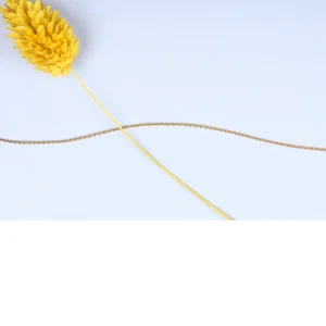 Online Al trapezio con Piotr. Anklet Anklets