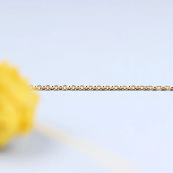 Online Al trapezio con Piotr. Anklet Anklets