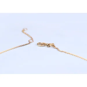 Online Al trapezio con Piotr. Anklet Anklets