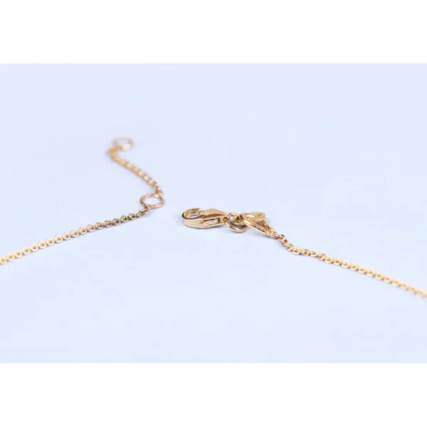 Online Al trapezio con Piotr. Anklet Anklets