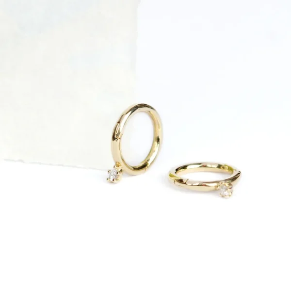 New Birkin 06. Single earring Earrings