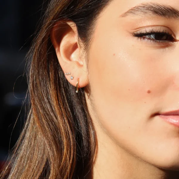 Best Birkin 08. Single earring Earrings