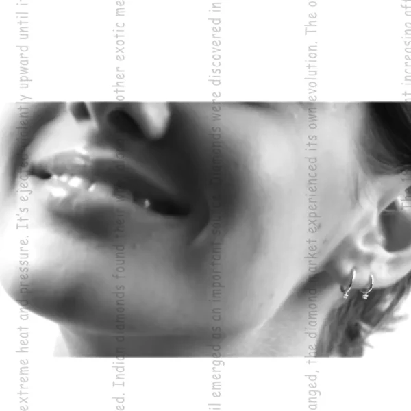 Best Birkin 08. Single earring Earrings