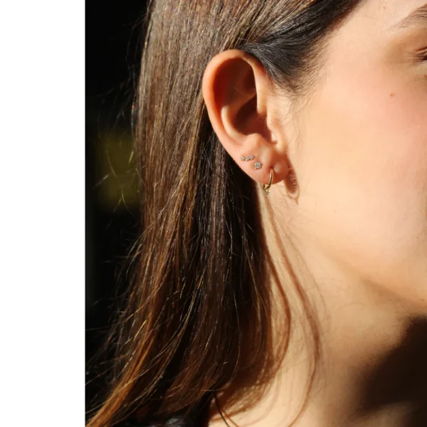 Best Birkin 08. Single earring Earrings