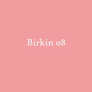 Best Birkin 08. Single earring Earrings