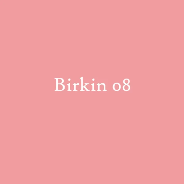 Best Birkin 08. Single earring Earrings