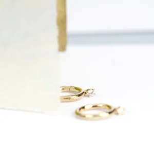 New Birkin 06. Single earring Earrings