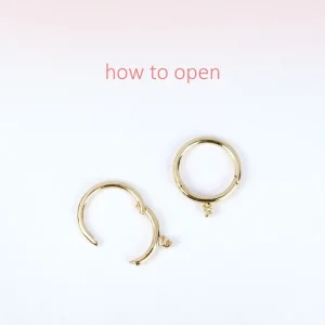 Best Birkin 08. Single earring Earrings