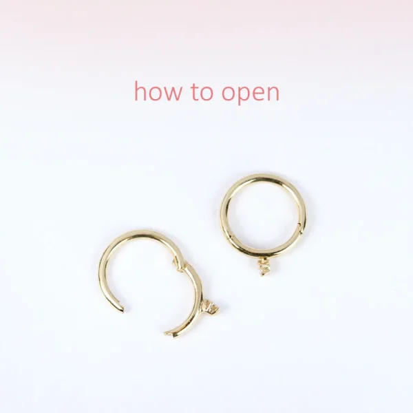 Best Birkin 08. Single earring Earrings