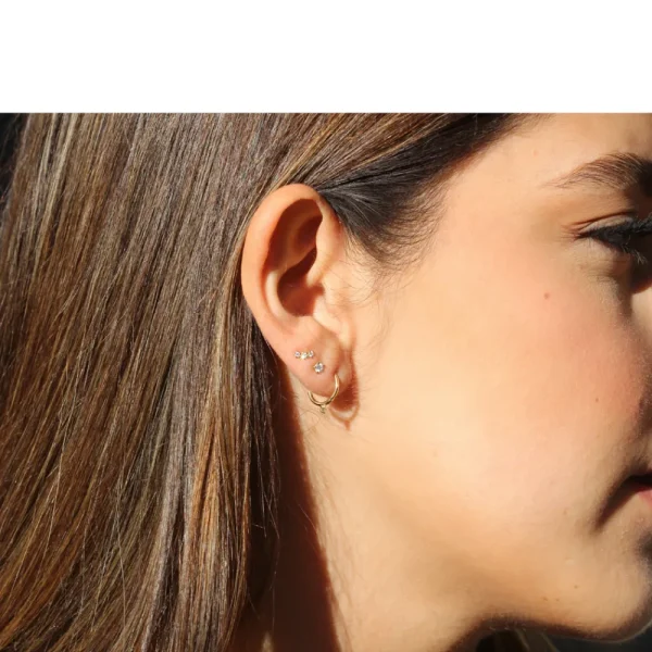 Best Birkin 08. Single earring Earrings