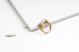 New Chevalier mis à nu Rings