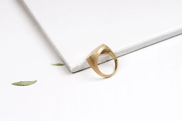 New Chevalier mis à nu Rings
