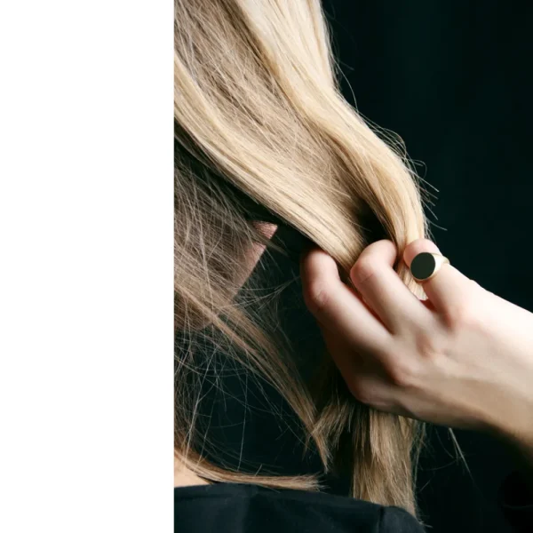 New Chevalier mis à nu Rings