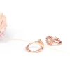 Online Chīsana deijī. Earrings Earrings