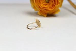 Best La madonna del sorriso. Ring Rings