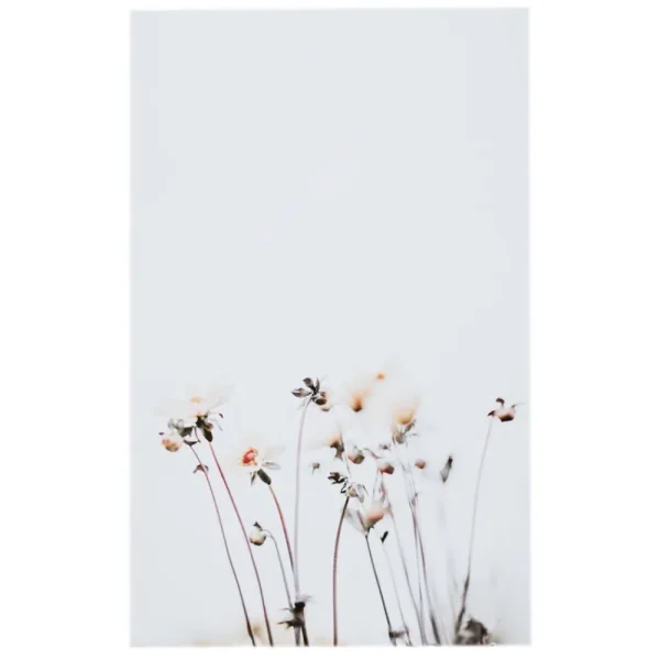 Clearance Pollon combinaguai. Ring (white) Rings